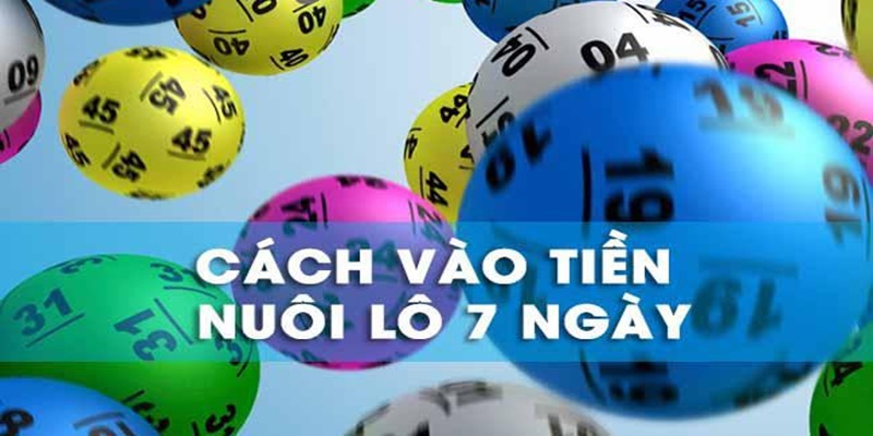 Chơi lô 7 ngày có nhiều cách vào tiền khác nhau 